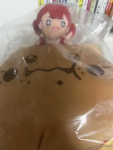 적신 카르비 1번 복권 A상 쿠션