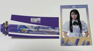 노기자카46 세토구치 신게츠 리본 밴딩 클리어 카드 세트