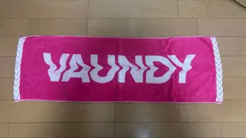 VAUNDY 타월