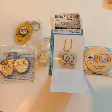 치이카와 시사 세트 판매
