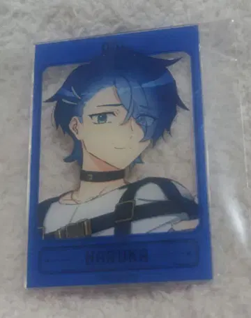 MILGRAM 밀그램 아크릴 카드 vol.2 하루카