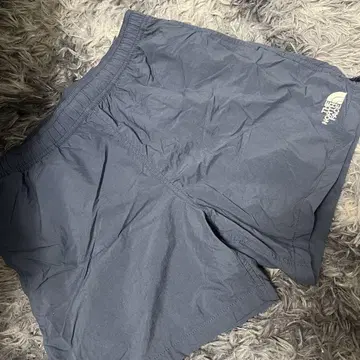 THE NORTH FACE 숏팬츠