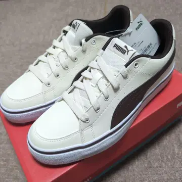 PUMA SOFTFOAM+ 아이보리/브라운 스니커즈