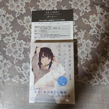 청춘 돼지 녀석은 산타클로스의 꿈을 꾸지 않아 1 (완전 생산 한정판)