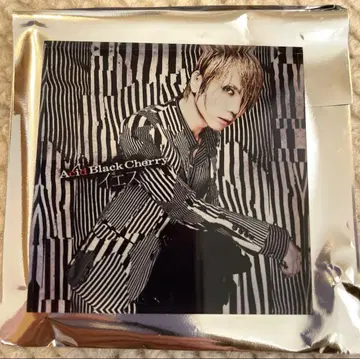 Acid Black Cherry 아크릴 마그넷 이스