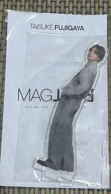 Taisuke Fujigaya 아크릴 스탠드