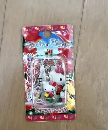 지역 한정 키티 토야마 튤립