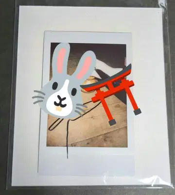 진천지개벽집단 지그재그 이노치사마 손글씨 사인 폴라로이드 레어