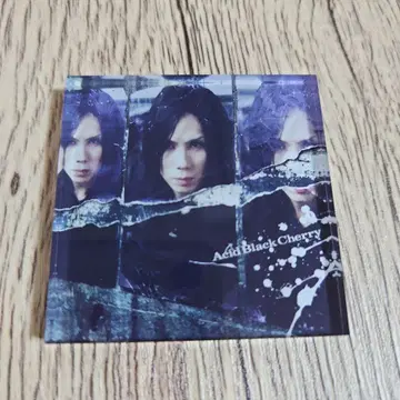 Acid Black Cherry 아크릴 마그넷 겨울의 환상