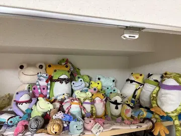 개구리 피클스 테부케로 세트