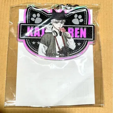 WIND BREAKER 윈브레 난자 경품 아크링 키링 카지 렌