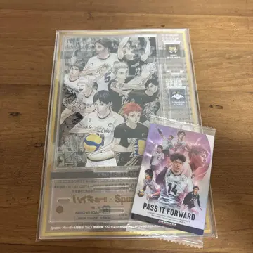 하이큐!! 아크릴 스탠드 웨하스 카드 일본 대표 집결 카드 포함