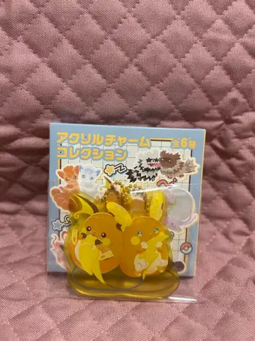 포켓몬 아크릴 참 비슷한 것끼리 라이츄 포켓몬 센터