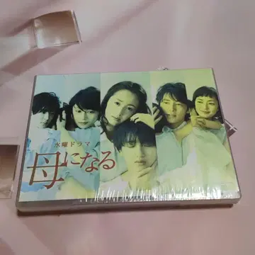엄마가 된다 DVD-BOX (6장 구성)