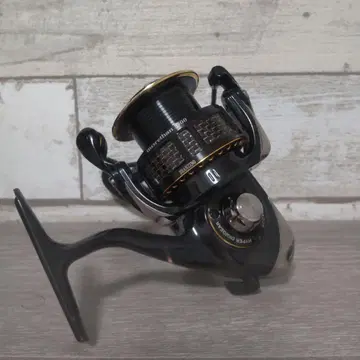 Daiwa morethan BRANZINO 3000