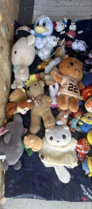 봉제 인형 일괄 세트