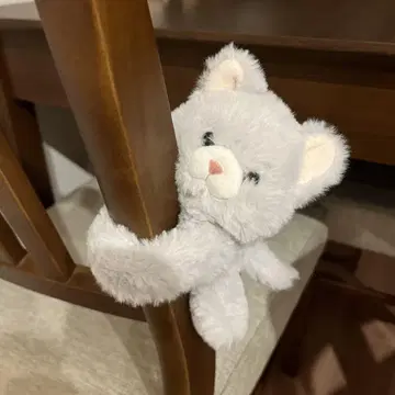 안고 있는 고양이 봉제 인형