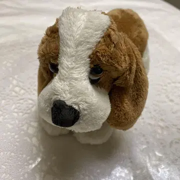 허시파피 봉제 인형 Hush Puppies 개
