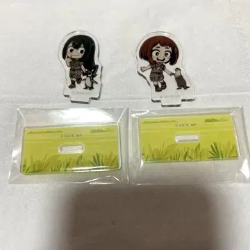 히로아카 우라라카 오챠코 아스이 츠유
