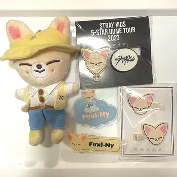 Stray Kids 스키즈 I.N 아이엔 굿즈