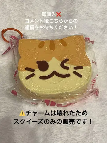 mellojoy 스퀴즈