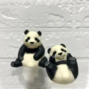 손바닥 프렌즈