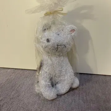 GELATO PIQUE PEANUTS 퍼롱