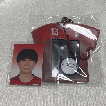 남자 배구 유니폼 미니 사진 홀더 오가와 토모히로
