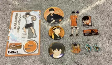 [ 8개 ] 묶음 판매 하이큐! 카게야마 토비오 세트