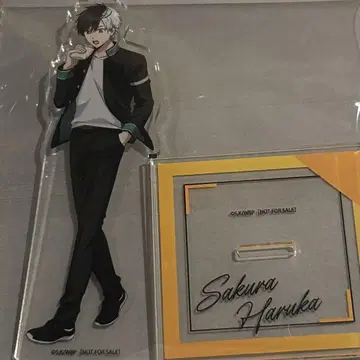 윈드브레이커 사쿠라 하루카