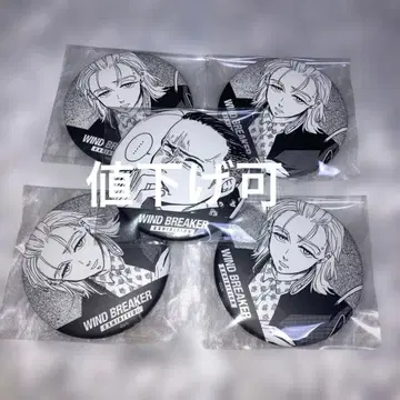WIND BREAKER 윈브레전 코마 캔뱃지 5개 세트