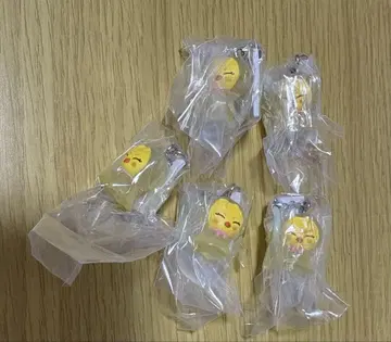 skzoo 메지루시 액세서리 포가리