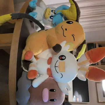 포켓몬 봉제 인형 세트