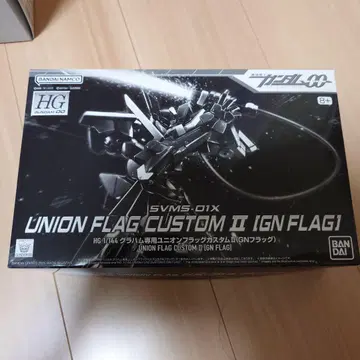 HG GN 플래그
