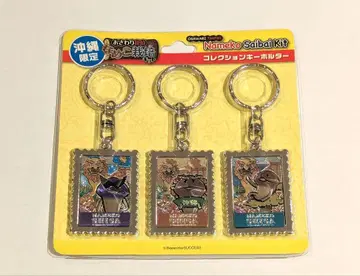 나메코 재배 키트 컬렉션 키링 오키나와 한정판