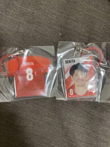 메지루시 액세서리 세키타 세이타이