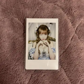 센리츠 카나노 생탄제 2025 란 폴라로이드