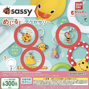 sassy 메지루시 액세서리 3종 세트