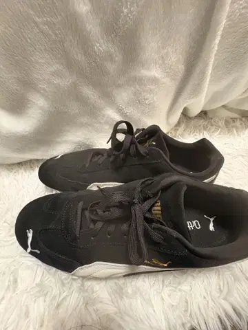 Puma 스피도캣 31cm