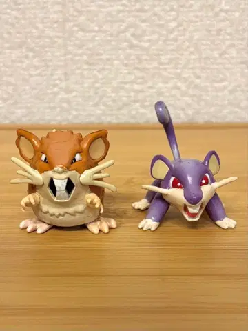 초기 몬코레 라타 코라타