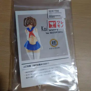 [레어] 잉어 문양 koi body 메가미 디바이스용 개조 키트