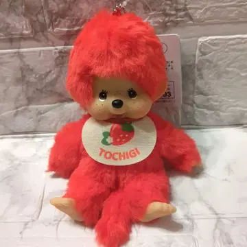 sekiguchi 고토치 몬치치 도치기 한정판 딸기