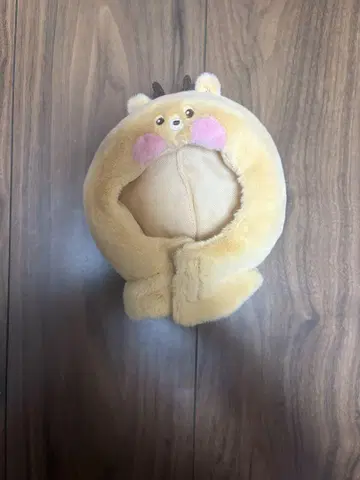 성찬 RIIZE 응원봉 커버