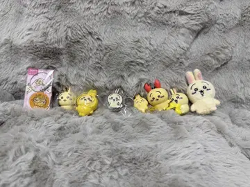 치이카와 토끼 세트
