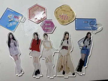 사쿠라이 미우 아크릴 스탠드 묶음 판매