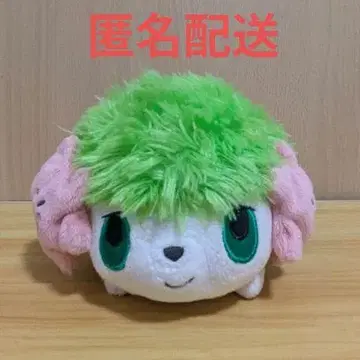 레어! 2008년제 포켓몬 포케인형 봉제인형 쉐이미