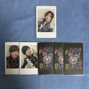 팬더드래곤   하피카 1