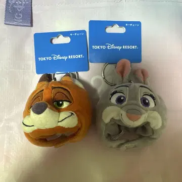 디즈니 리조트 주토피아