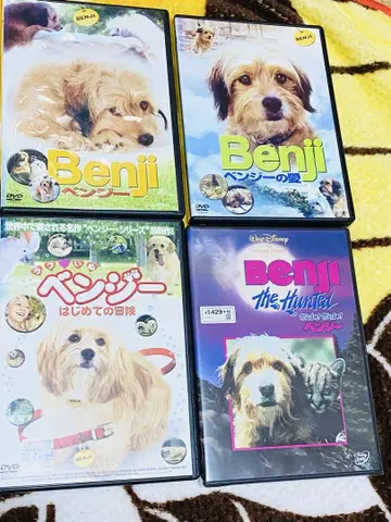 벤지 DVD