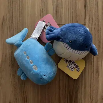 포켓몬 fit 호엘코 호엘오